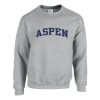 Aspen grey Sweatshirt