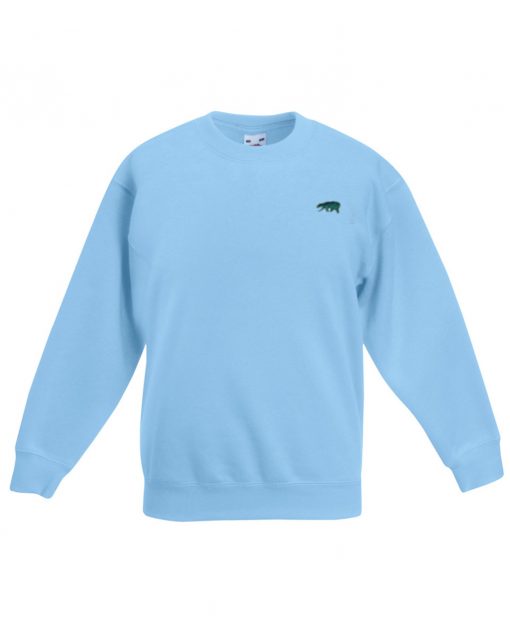 Light Blue Sweatshirt