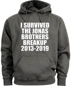 I Survived The Jonas Brothers Breakup 2013-2019 Grey Hoodie