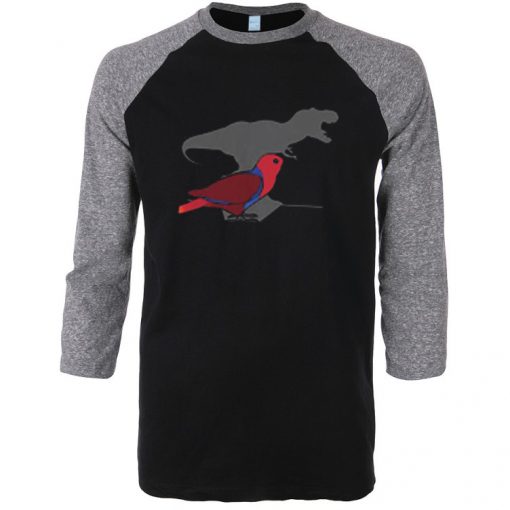 T-rex Female Eclectus Black Grey Raglan Tshirts