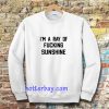 im a ray of fucking sunshine Sweatshirt